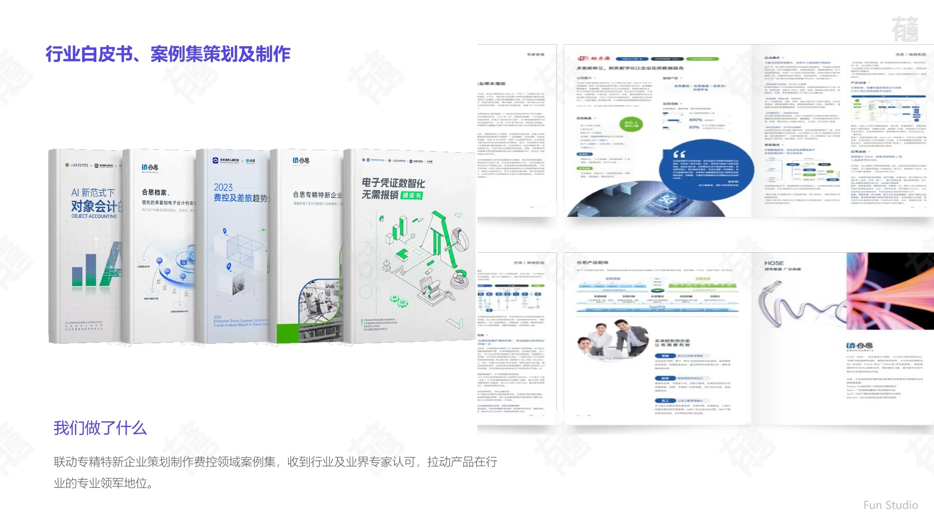 合思品牌全案设计展示 3